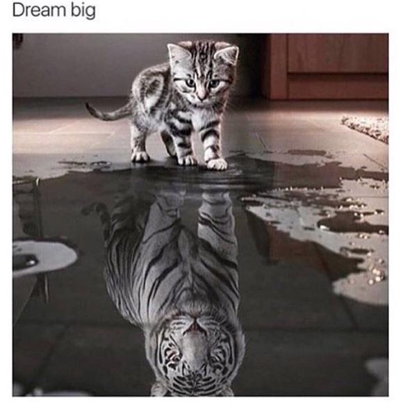 Meet your Posher, Xitlali - Picture 1 of 1